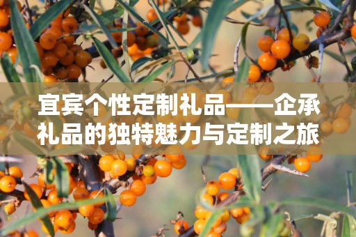 宜宾个性定制礼品——企承礼品的独特魅力与定制之旅
